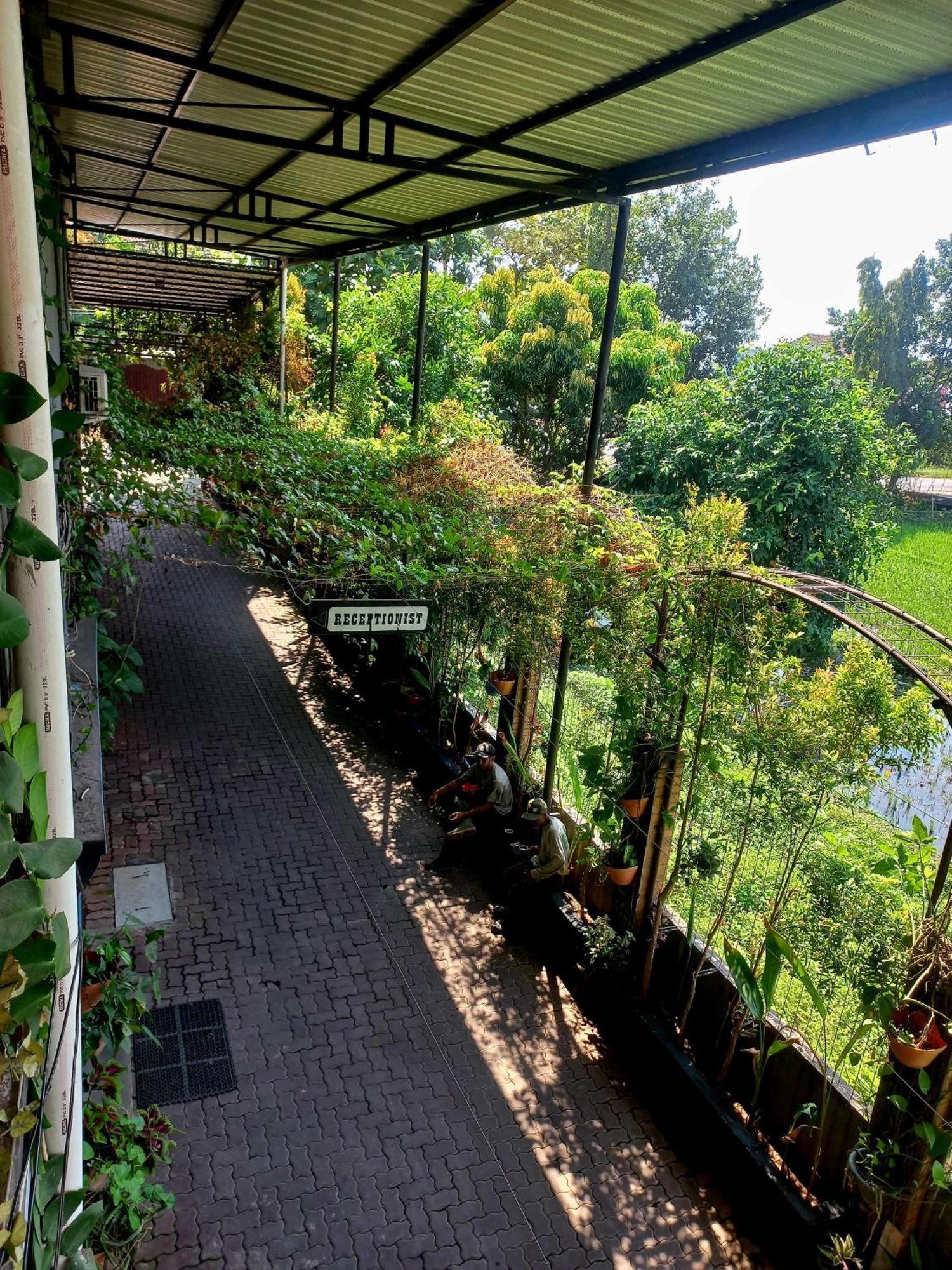 Hotel Omah Tjepit Zewnętrze zdjęcie
