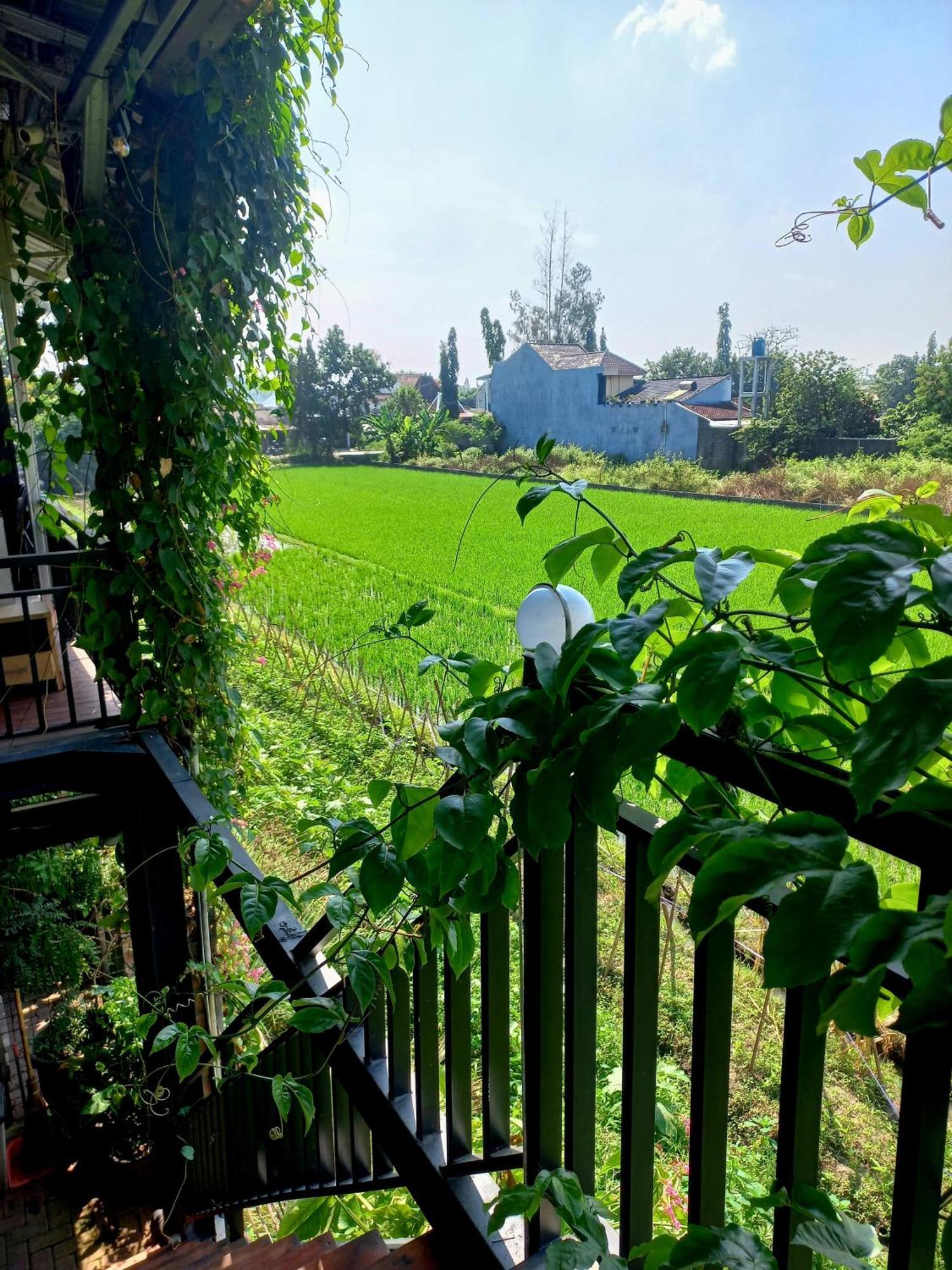Hotel Omah Tjepit Zewnętrze zdjęcie